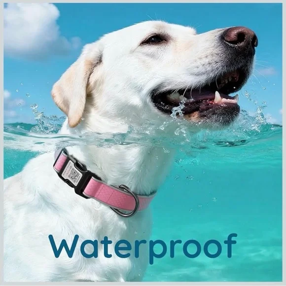 Dog Collar Reflective Pink QR Code For Lost Dog - Picture 2 of 3